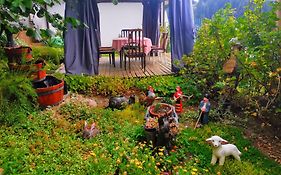 Guest House Milka