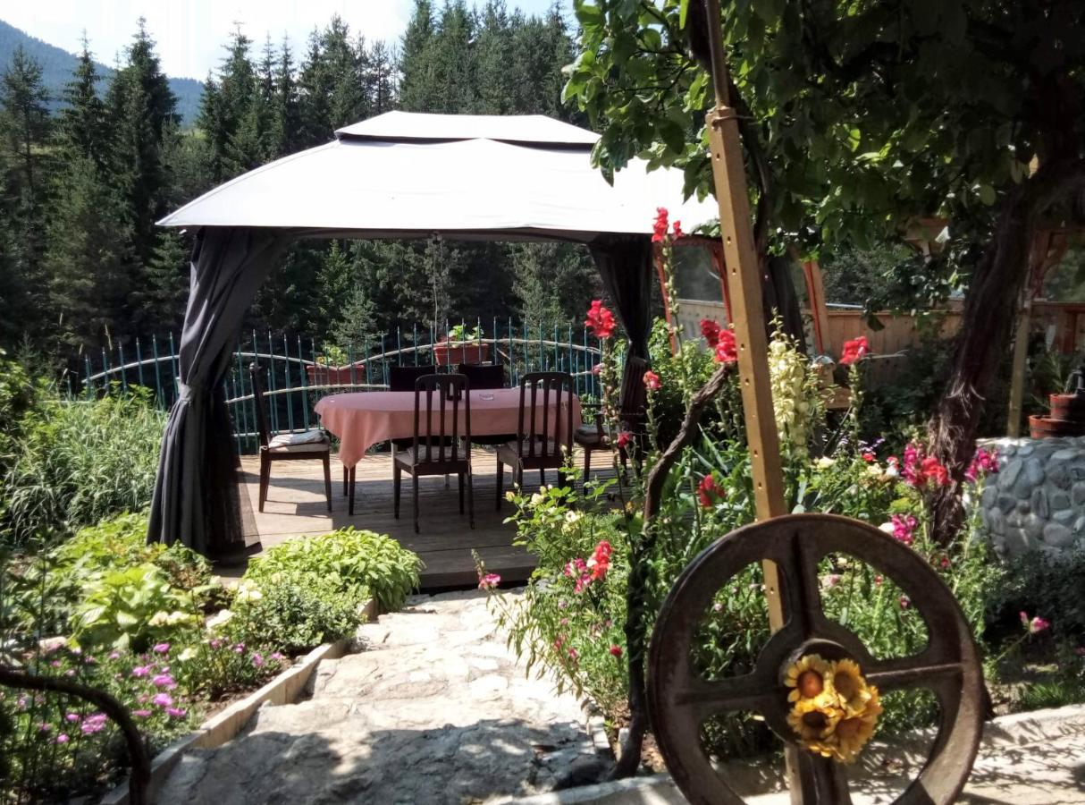 Guest House Milka Yagodina Εξωτερικό φωτογραφία