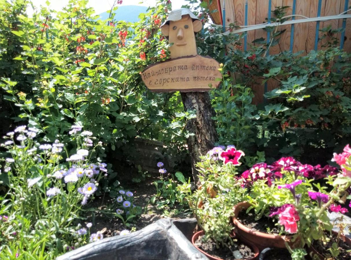 Guest House Milka Yagodina Εξωτερικό φωτογραφία