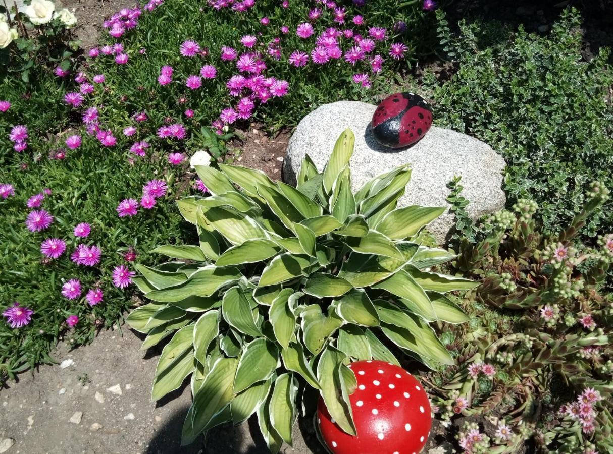 Guest House Milka Yagodina Εξωτερικό φωτογραφία