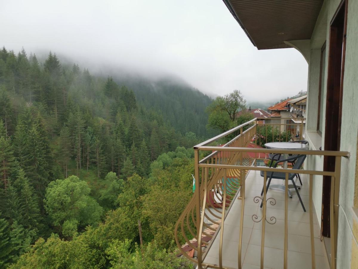 Guest House Milka Yagodina Εξωτερικό φωτογραφία