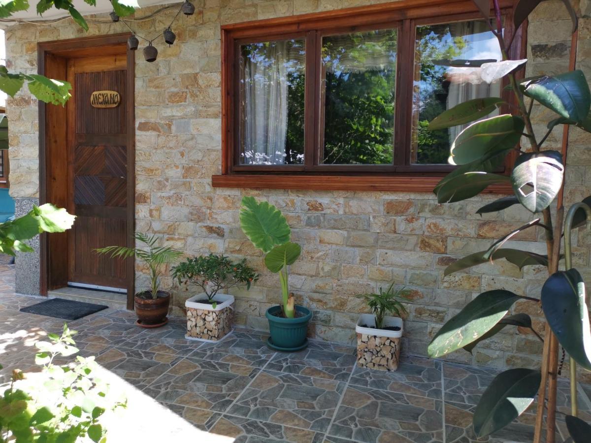 Guest House Milka Yagodina Εξωτερικό φωτογραφία