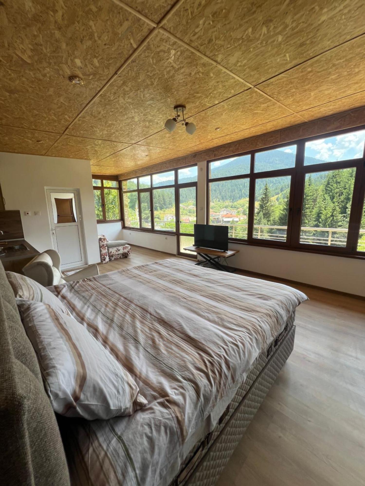 Guest House Milka Yagodina Εξωτερικό φωτογραφία