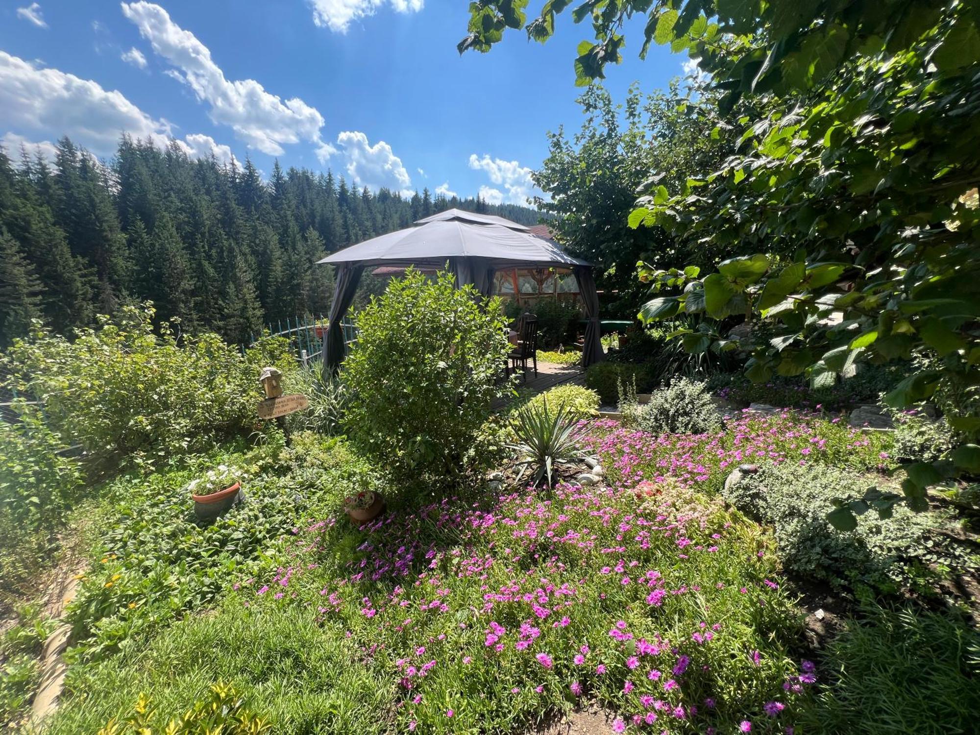 Guest House Milka Yagodina Εξωτερικό φωτογραφία