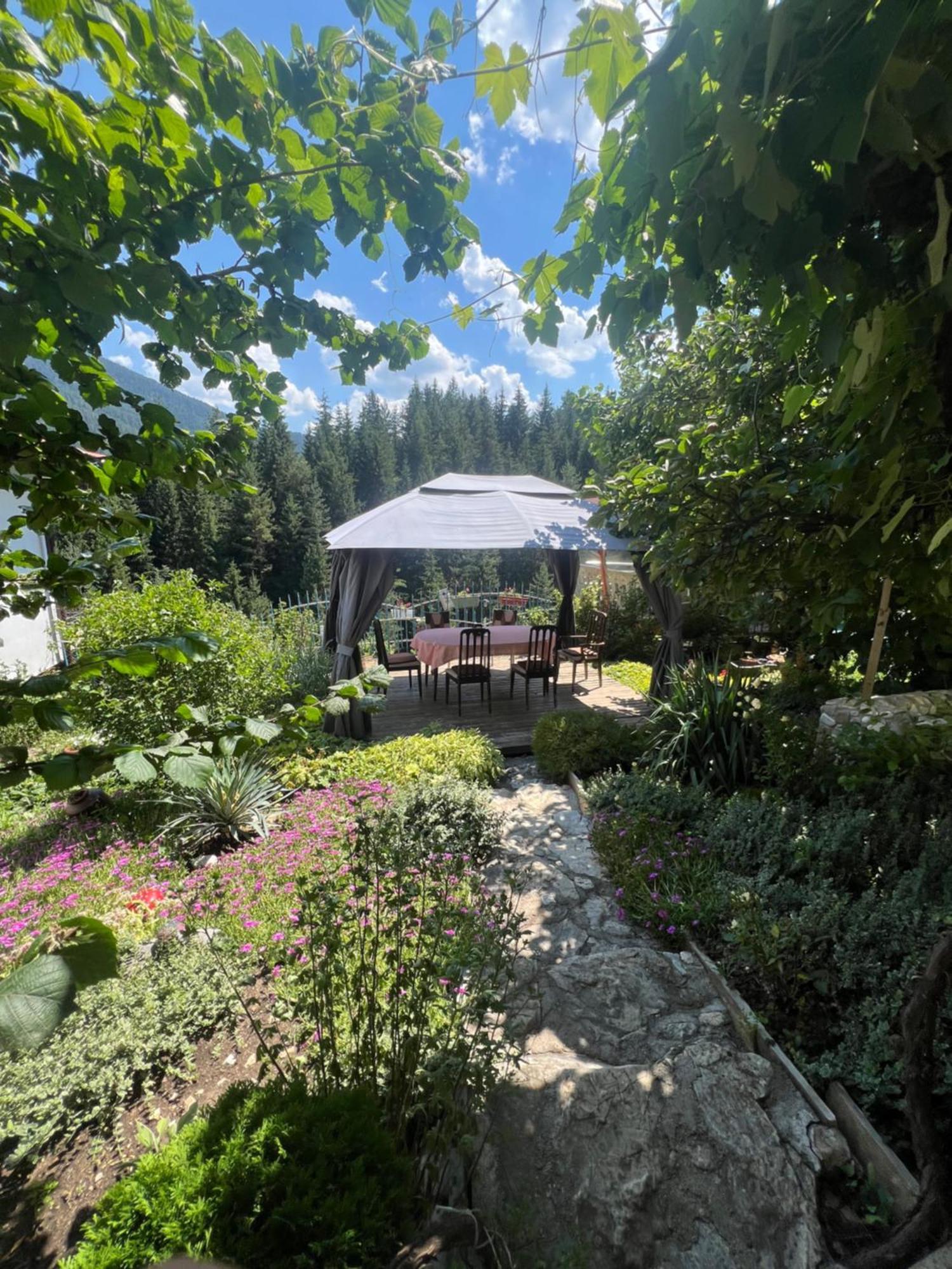 Guest House Milka Yagodina Εξωτερικό φωτογραφία