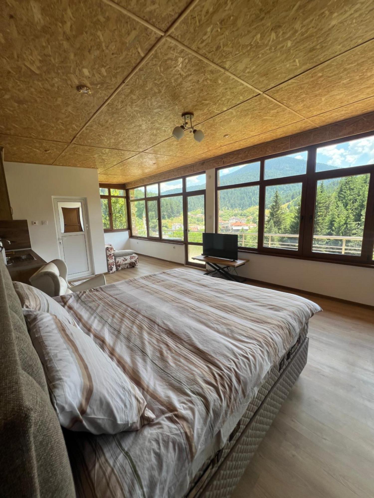Guest House Milka Yagodina Εξωτερικό φωτογραφία