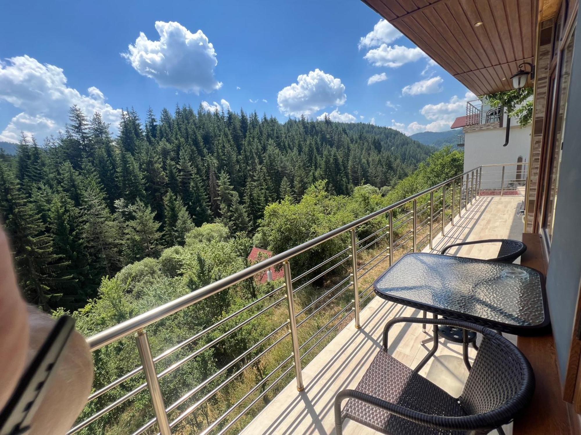 Guest House Milka Yagodina Δωμάτιο φωτογραφία
